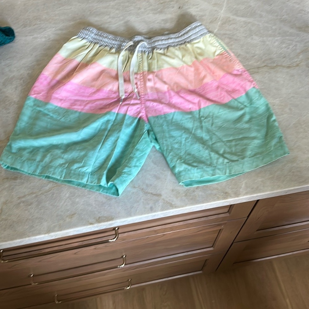 Men's Chubbies Bathing Suit